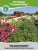 Гортензия Мэджикал Мунлайт (метельчатая)