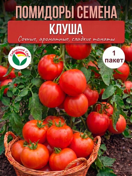 Томат Клуша семена 