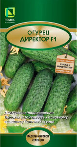 Огурец Директор F1