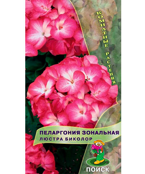 Пеларгония Люстра Биколор (зональная) семена