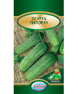 Огурец Гектор F1