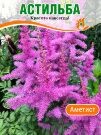 Астильба Аметист (Арендса) Астильба Аметист (Арендса)