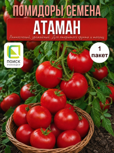 Томат Атаман