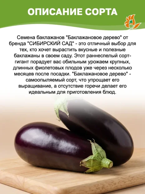 Баклажан Баклажановое дерево семена 