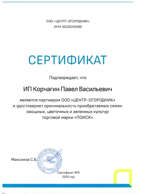 Лук порей Карантанский семена 